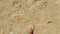 Male feet walk along the sandy beach. A man enjoys relaxing on the sandy beach. A man walks on the sand by the sea.