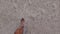 Male feet walking out sea water to beach sand