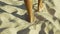 Male feet walking on sand