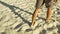 Male feet walking on sand