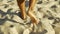 Male feet walking on sand