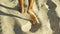 Male feet walking on sand