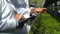 Male and female agriculture experts examining hothouse plants working tablet