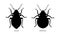 Male and Female Black Illustrated Bedbugs