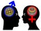 Male and Female Brains are different