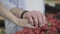 Male and female Caucasian hands touching each other as taking strawberry from shelf in supermarket. Young man and woman