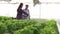 Male and female farmers work together to maintain a modern hydroponics organic vegetable business, feeding hydroponics vegetables.