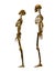 Male and Female Golden Skeletons