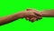 Male and female Handshake Hands Business Meeting On Green Background