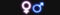 Male and female icon neon symbols together