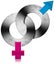 Male and Female Metal Symbols