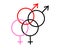 Male and female sex gender bisexuality concept