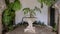 Male fern in a white stone planter surrounded by Swiss cheese plants in a niche in the Pena Palace in Sintra, Portugal.