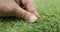 Male fingers is touching artificial lawn grass.