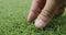 Male fingers is touching artificial lawn grass.