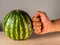 Male fist next to a fresh watermelon