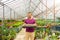 Male gardener holds a pallet with many seedlings of cacti, mammillaria. Growing and caring for plants and flowers in a greenhouse