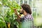 Male gardener inspecting plants at greenhouse