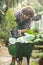 Male gardener keeping potted plants on wheelbarrow