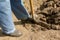 Male gardener preparing garden for spring planting.