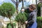 Male gardener pruning juniper with scissors, secateur. Making topiary