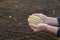 Male gardener sows lawn grass. Selective focus.