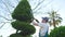 a male gardener in uniform with garden scissors cuts topiary bushes