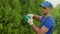 A male gardener wearing safety glasses cuts and shapes a thuja hedge with an electric trimmer