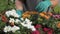 Male gardener working with flowers in a greenhouse or garden