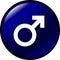 male gender symbol vector button