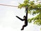 Male Gibbon monkey hanging on rope