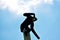 Male Gibbon monkey jumping off pole