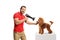 Male groomer blow drying a red poodle dog