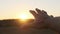 Male Hand against Sunset. Touch the Sun. Sun Shines through fingers. Slow motion