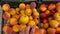 Male hand chooses peaches on a local farmer organic market. Vegan food market.