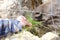 male hand feed with fresh green grass donkey through net, donkey on home farm in mountains pastures on sunny day, freight