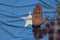 Male hand with a gesture of protest, vows against the backdrop of the silk national flag of somalia, concept of denial and