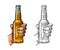 Male hand holding bottle beer. Color vintage engraving vector illustration