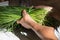 Male hand holding a bundle spring green queue onions at the Port Louis market in Mauritius