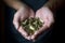 Male hand holding golden coins. Saving, money, finance donation, giving and bussiness concept. Black background. Heart shape. I