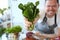 Male Hand Holding Green Washed Sorrel Herb Bunch