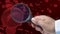 Male hand holding magnifying looking at blood cells animation