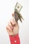 Male hand holds dollar banknotes on a white background