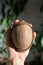 Male hand holds peeled coconut