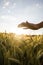 Male hand over beautiful wheat field.