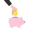 Male Hand with Piggy Bank Saving Concept