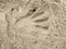 Male hand print in the salt sand on the beach. Long fingers hand