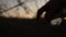 A male hand rolls a glass ball in the grass. Dramatic cinematic shot. Silhouette. Sunset. Fate, future, past, present