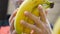 Male hand selecting bananas at the supermarket. Man taking a bunch of bananas from counter in a grocery store. Guy