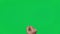 Male hand snaps his fingers on a chroma key green screen background. Fingers click. Gestures pack. Using a smartphone